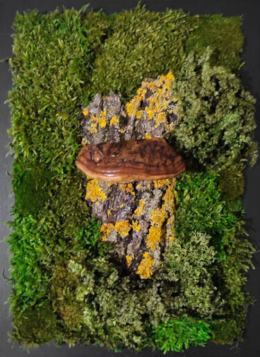 WATCHER OF THE WOODS moss art Collages titled "WATCHER OF THE WOOD…" by Simona Zorina, Original Artwork, Collages Mounted on Cardboard