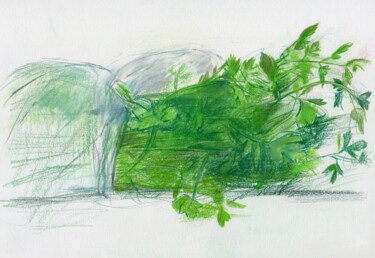图画 标题为“Parsley ( Prezzemol…” 由Alexander Pogorzhelsky, 原创艺术品, 铅笔