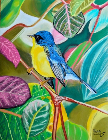 Drawing titled "Oiseau tropical" by Magali Steiner, Original Artwork, Pastel