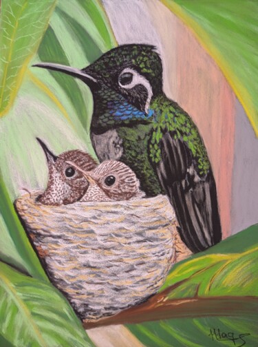 "Colibris au nid" başlıklı Resim Magali Steiner tarafından, Orijinal sanat, Pastel