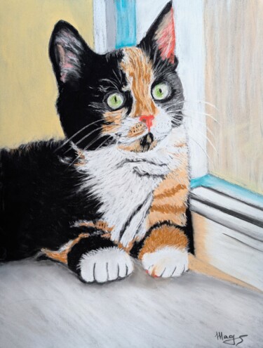 Tekening getiteld "Chat a la fenêtre" door Magali Steiner, Origineel Kunstwerk, Pastel