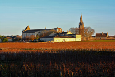 Фотография под названием "Saint-Emilion, vign…" - Hoang Cong Minh, Подлинное произведение искусства, Не манипулируемая фотог…