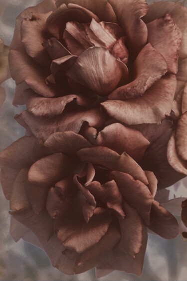 摄影 标题为“Flower design_15070” 由Michael Vdovin, 原创艺术品, 数码摄影