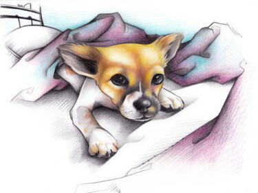 "Cagnolino 3" başlıklı Resim O. Soniart tarafından, Orijinal sanat, Mum boya