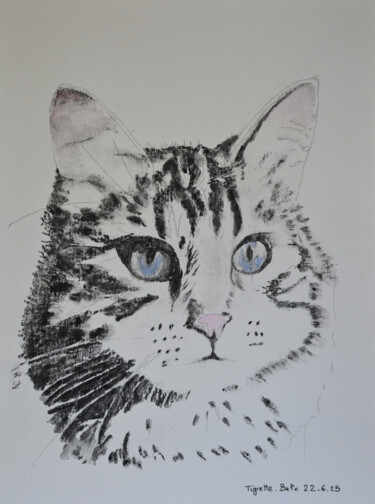"Tigrette" başlıklı Tablo Bernard Pothier tarafından, Orijinal sanat, Karakalem