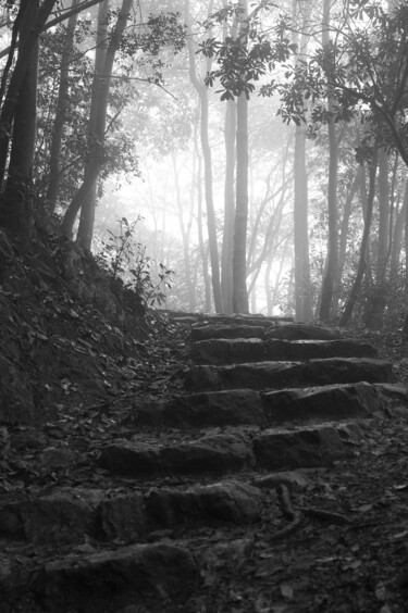 "road-5" başlıklı Fotoğraf Herdingcat tarafından, Orijinal sanat, Dijital Fotoğrafçılık Alüminyum üzerine monte edilmiş