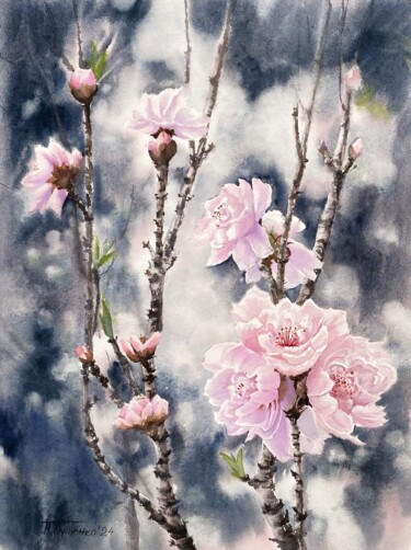 Sacura is blossoming Schilderij getiteld "Sacura is blossoming" door Natalia Butenko, Origineel Kunstwerk, Aquarel
