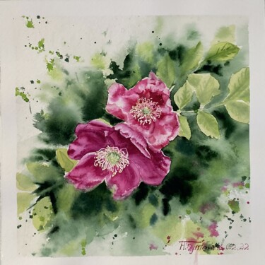 Roses, watercolor painting