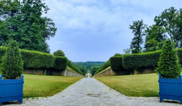 Fotografia intitolato "Un parc Royal" da Emma Laflute, Opera d'arte originale, Fotografia non manipolata