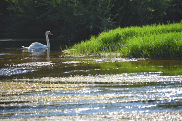 "Spectacle estival d…" başlıklı Fotoğraf Hoang Cong Minh (Minh Hoang) tarafından, Orijinal sanat, Fotoşopsuz fotoğraf