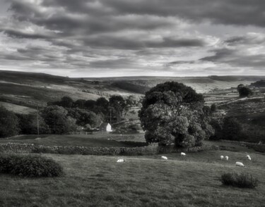 "Danby Low Moor" başlıklı Fotoğraf Peter Watson tarafından, Orijinal sanat, Dijital Fotoğrafçılık
