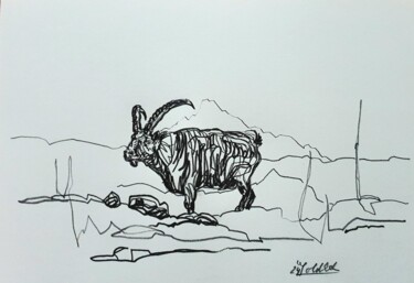 Drawing titled "Steinbock" by Anne Goldhahn, Original Artwork, Pencil
