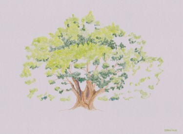 Drawing titled "Arbre double" by Catherine Janniaud, Original Artwork, Pencil Mounted on Cardboard