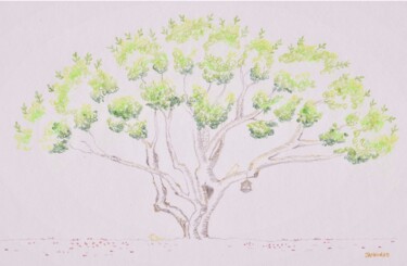 Drawing titled "Arbre à la cabane" by Catherine Janniaud, Original Artwork, Pencil Mounted on Cardboard