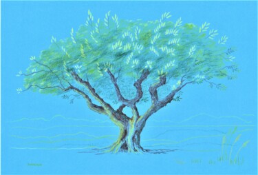 Drawing titled "Arbre Olivier" by Catherine Janniaud, Original Artwork, Pencil Mounted on Cardboard
