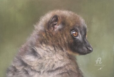 Σχέδιο με τίτλο "Red-bellied lemur" από Irene_art, Αυθεντικά έργα τέχνης, Παστέλ