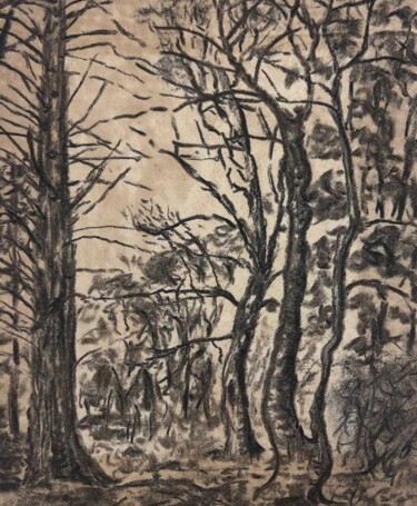 Rysunek zatytułowany „Les grands arbres” autorstwa Ollivier Dulong, Oryginalna praca, Węgiel drzewny