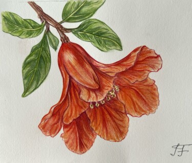 Painting titled "POMEGRANATE FLOWER" by Inessa Falina, Original Artwork, Watercolor