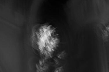 Métamorphoses 0x900C7B03 #1/5 제목이 "Métamorphoses 0x900…"인 사진 Éric Petr로, 원작, 조작되지 않은 사진 판지에 장착됨