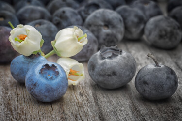 Blueberries Фотография под названием "Blueberries" - Fabiano Sodi, Подлинное произведение искусства, Манипулированная фотография