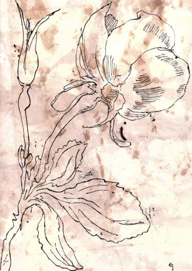 Tekening getiteld "Old Masters Flowers" door Christian Envall, Origineel Kunstwerk, Inkt