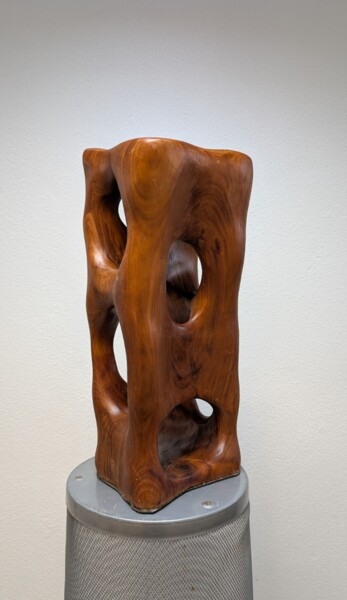 Nest. Amerikanisches Nussbaumholz. 50x15x15 cm "Nest. Amerikanische…" başlıklı Heykel Alexander Stepanow tarafından, Orijinal sanat, Ahşap
