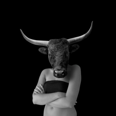 Fotografia intitolato "The Bull" da Hamilton Becerra, Opera d'arte originale, Fotografia digitale Montato su Altro pannello…