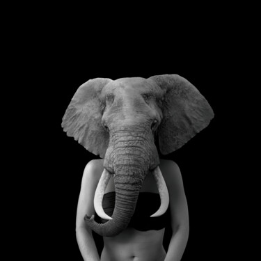 「The Elefant」というタイトルの写真撮影 Hamilton Becerraによって, オリジナルのアートワーク, デジタル その他の剛性パネルにマウント