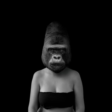 "The Gorilla" başlıklı Fotoğraf Hamilton Becerra tarafından, Orijinal sanat, Dijital Fotoğrafçılık Diğer sert panel üzerine…