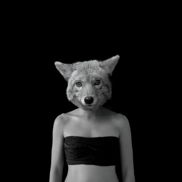 Fotografía titulada "The Wolf" por Hamilton Becerra, Obra de arte original, Fotografía digital Montado en Otro panel rígido
