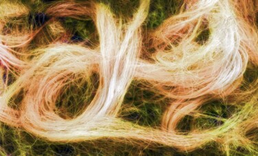 摄影 标题为“Entanglement” 由Peter Watson, 原创艺术品, 数码摄影