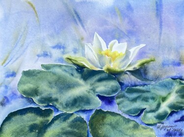 White lotus