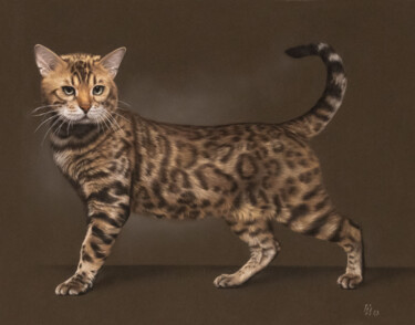 Bengal Cat "Bengal Cat" başlıklı Tablo Irina Gross tarafından, Orijinal sanat, Pastel