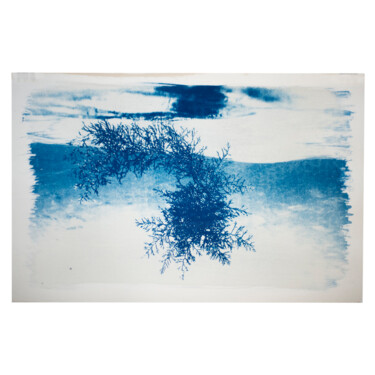 Fotografie getiteld "Golden Algae in Cya…" door Laura Bienvenido (Kaupu), Origineel Kunstwerk, Cyanotypie