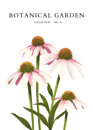 Digitale Kunst getiteld "Echinacea Bloom Bot…" door Chun Yu Guan, Origineel Kunstwerk, AI gegenereerde afbeelding Gemonteerd…