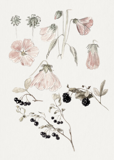 Digitale Kunst getiteld "Botanical Sketch: D…" door Chun Yu Guan, Origineel Kunstwerk, AI gegenereerde afbeelding Gemonteerd…