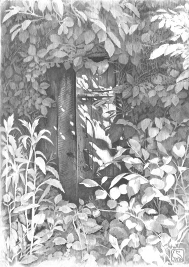 Door, devoured by Time "Door, devoured by T…" başlıklı Resim Julia Suprun tarafından, Orijinal sanat, Grafit