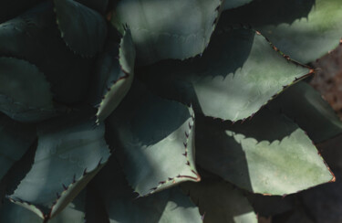 Fotografia intitulada "Calm nature" por Viktoriia Gladkova, Obras de arte originais, Fotografia digital