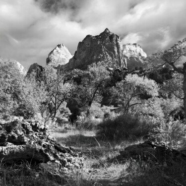 Zion National Park, Utah 3 Fotografie getiteld "Zion National Park,…" door Peter Watson, Origineel Kunstwerk, Digitale fotografie
