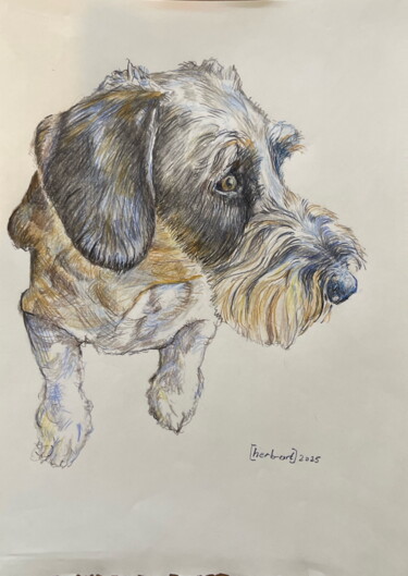 "Ulli" başlıklı Resim Herbert Wiedergut ([herb-art]) tarafından, Orijinal sanat, Mum boya