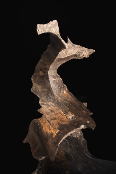 Scultura intitolato "Bois de chêne pétri…" da Franck Collin, Opera d'arte originale, Legno