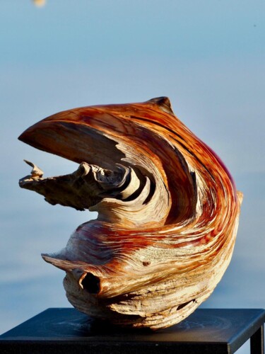Scultura intitolato "Pin océanique anémo…" da Franck Collin, Opera d'arte originale, Legno