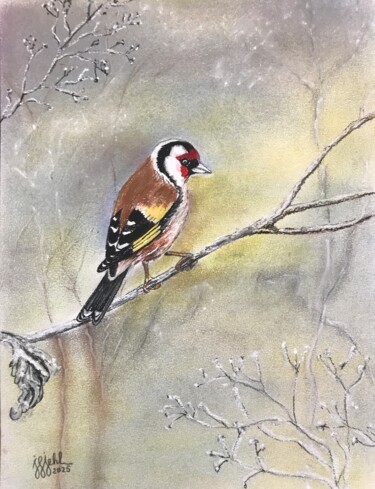 Schilderij getiteld "Le chardonneret" door Jean-Francois Jehl, Origineel Kunstwerk, Pastel