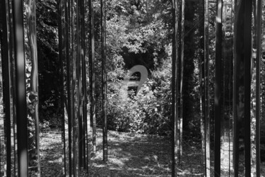 Fotografie getiteld "Pittoresque" door Virginie Dartois, Origineel Kunstwerk, Niet gemanipuleerde fotografie
