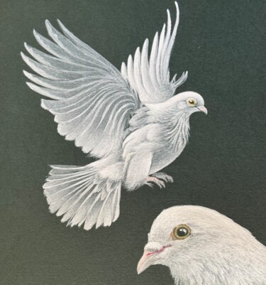 绘画 标题为“Tourterelles 2” 由Isabelle Molinard, 原创艺术品, 丙烯