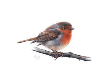 "European Robin III" başlıklı Resim Daria Maier tarafından, Orijinal sanat, Tükenmez kalem