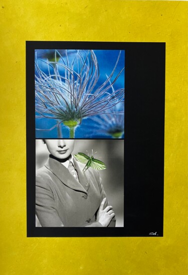 Collages intitolato "Brise légère" da Sandrine Devaud, Opera d'arte originale, Collages Montato su Cartone