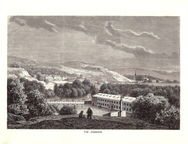 Printmaking titled "Jonsered" by Christian Envall, Original Artwork, Lithography