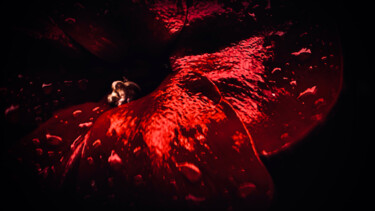 Étreinte rubis Fotografia intitulada "Étreinte rubis" por Mélanie Stéphanie Massé Artiste, Obras de arte originais, Pintura de luz