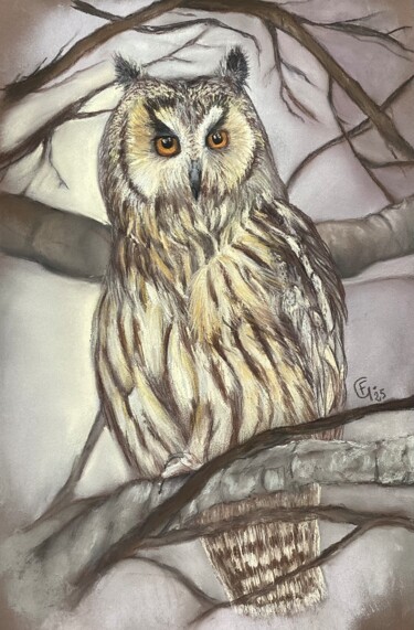 Rysunek zatytułowany „Hibou moyen Duc” autorstwa Francette Guittard, Oryginalna praca, Pastel Zamontowany na Karton
